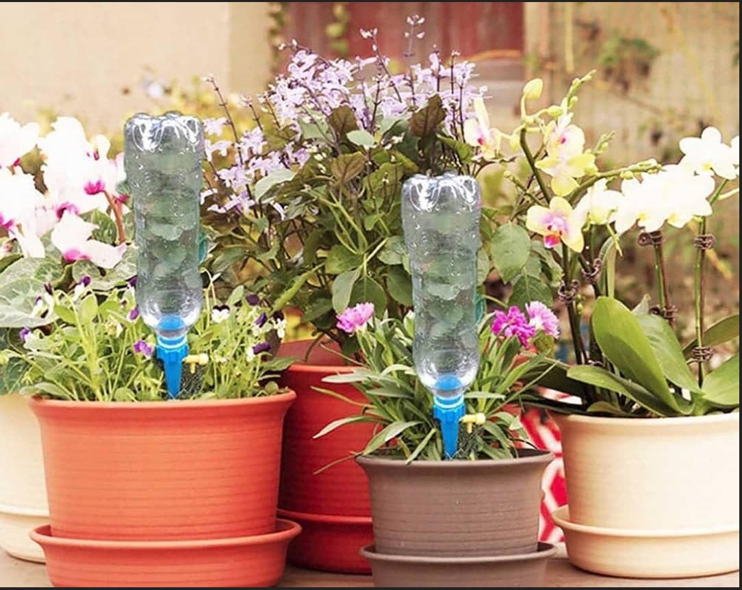 فیتیله آبیاری قطره ای گلدان، مناسب برای آبیاری ارزان و هوشمند گیاهان در زمان مسافرت